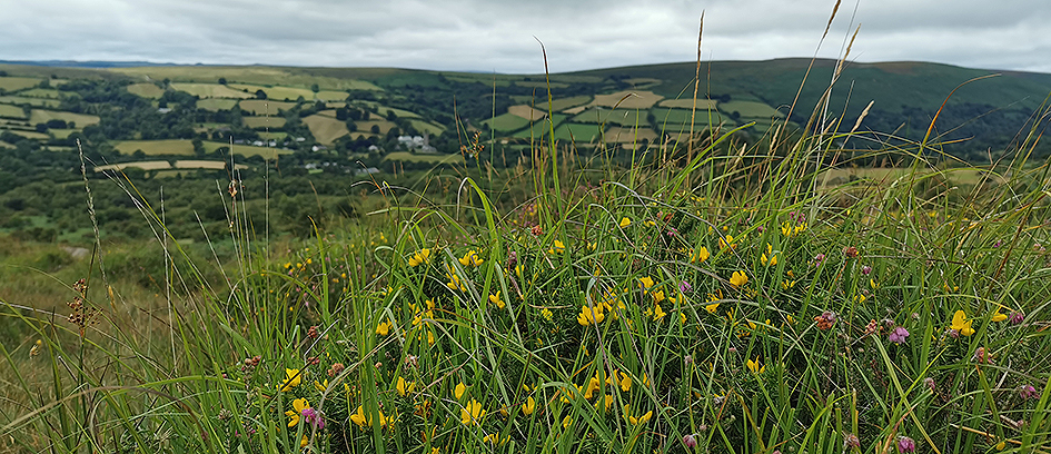 Hypnotherapie – Zertifizierte Ausbildung am Zentrum für Angewandte Hypnose